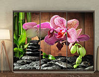 Наклейка для шкафа-купе 220 х 102 см на 3 двери ветка орхидеи (БП_в_fl12518)