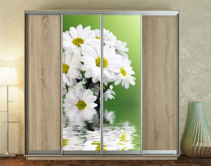 Наклейка на шафу-купе 220 х 60 см на 2 двері Хризантеми (БП_а_fl12596)