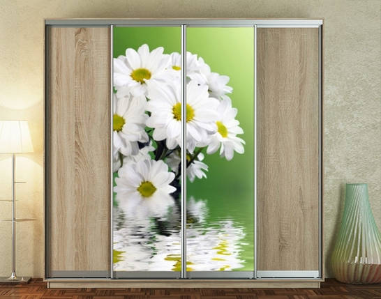 Наклейка на шафу-купе 220 х 60 см на 2 двері Хризантеми (БП_а_fl12596), фото 1