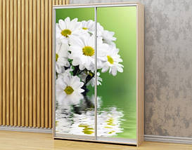 Наклейка на шафу-купе 220 х 60 см на 2 двері Хризантеми (БП_а_fl12596), фото 2