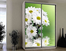 Наклейка на шафу-купе 220 х 60 см на 2 двері Хризантеми (БП_а_fl12596), фото 3