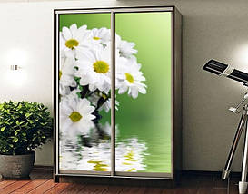 Наклейка на шафу-купе 220 х 60 см на 2 двері Хризантеми (БП_а_fl12596), фото 4