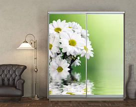 Наклейка на шафу-купе 220 х 60 см на 2 двері Хризантеми (БП_а_fl12596), фото 5