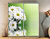 Наклейка на шафу-купе 220 х 60 см на 2 двері Хризантеми (БП_а_fl12596), фото 6