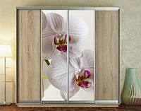 Наклейка для шкафа-купе 220 х 60 см на 2 двери орхидея (БП_а_fl12670)