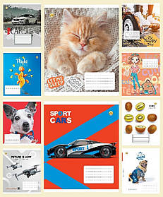 Набір Зошит 24 аркуші 20 штук лінія 292212-22