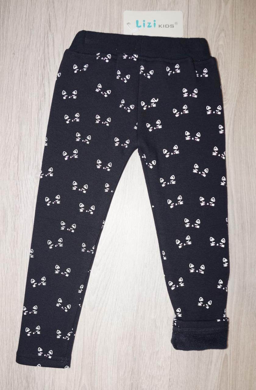 Легінси Кошеня LiziKids 92-122 р сині