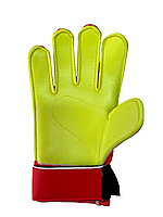 Вратарские перчатки Uhlsport TENSIONGREEN STARTER SOFT - 101118301