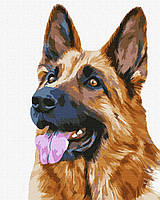 Картина по номерам Верный друг картины в цифрах животные собака холст на подрамнике 40х50 Идейка KHO4308