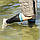 Dexshell Wading Green M водонепроникні Шкарпетки, фото 3