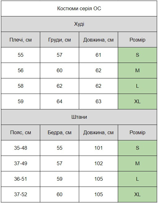 Спортивный костюм мужской хлопок с капюшоном худи и штаны