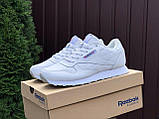 Чоловічі кросівки Reebok Classic шкіряні спортивні повсякденні білі, фото 3