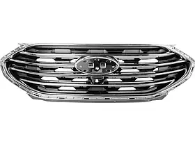 Грати радіаторні Ford Edge 18-(Тайвань) з отв. під камеру KT4Z8200CA