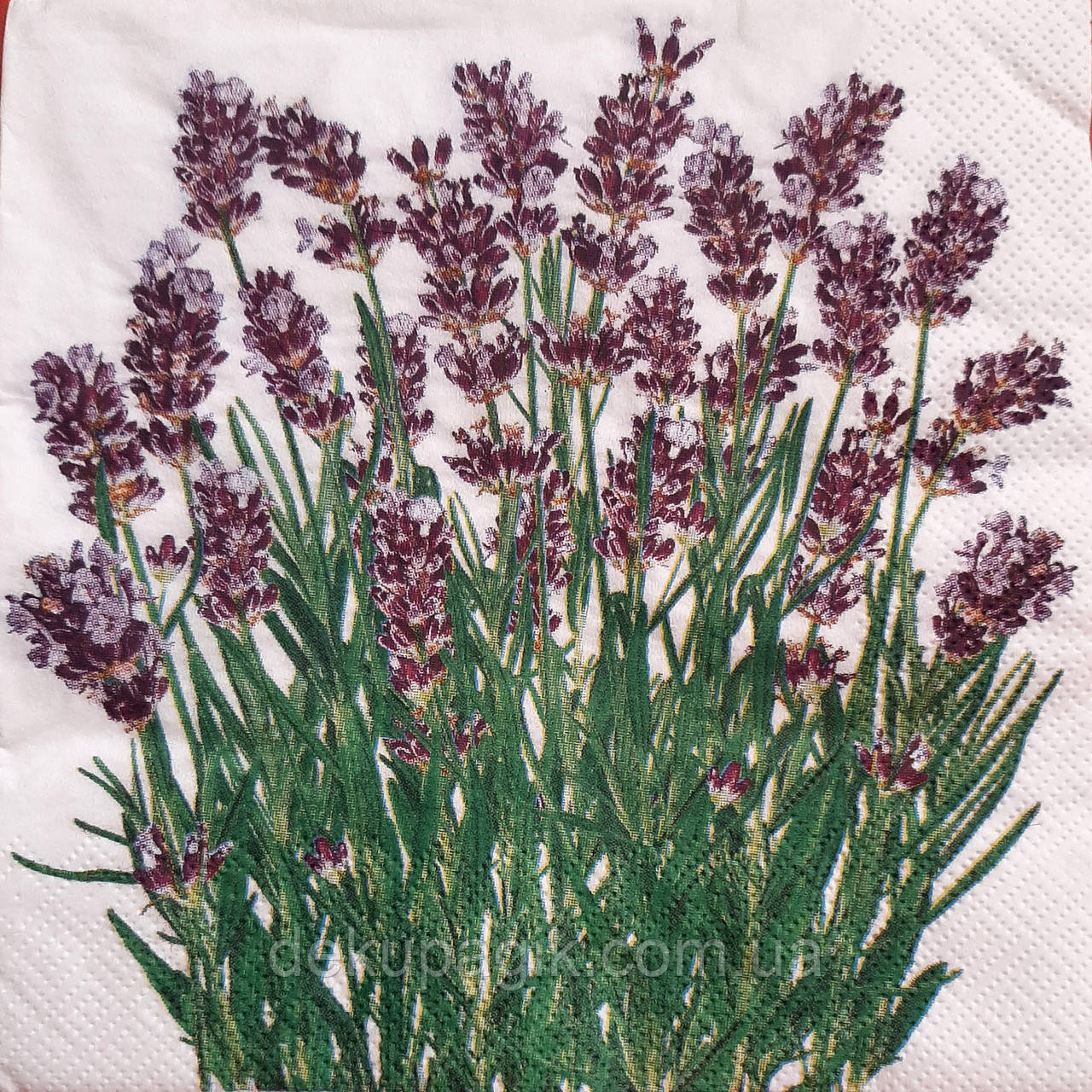 Серветка для декупажу ПЛ -62, 33х33см, фото 1