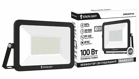 LED прожектор Enerlight MANGUST 100W 6500K IP65, фото 2