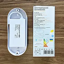 LED світильник Biom ЖКГ 12W 6000K IP65 овал MPL-012-6 17816, фото 2