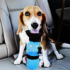 Пляшка для води для собак, 500 мл, РАНДОМ, PET Bottles / Дорожня пляшка-поїлка для собак, фото 4