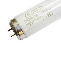 Лампа люмінесцентна LF 40w/54 PILA G13