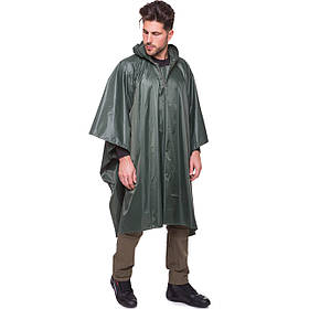 Дощовики туристичні