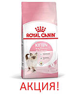 АКЦІЯ! Сухий корм Royal Canin Kitten для кошенят, 8 кг + 2 кг корму у подарунок!