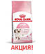 АКЦІЯ! Сухий корм Royal Canin Kitten (Роял Канін Кітен) для кошенят, 8 кг + 2 кг корму у подарунок!, фото 2