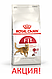 АКЦІЯ! Сухий корм Royal Canin FIT 32 (Роял Канін Фіт) для кішок, 8 кг + 2 кг корму у подарунок!, фото 3