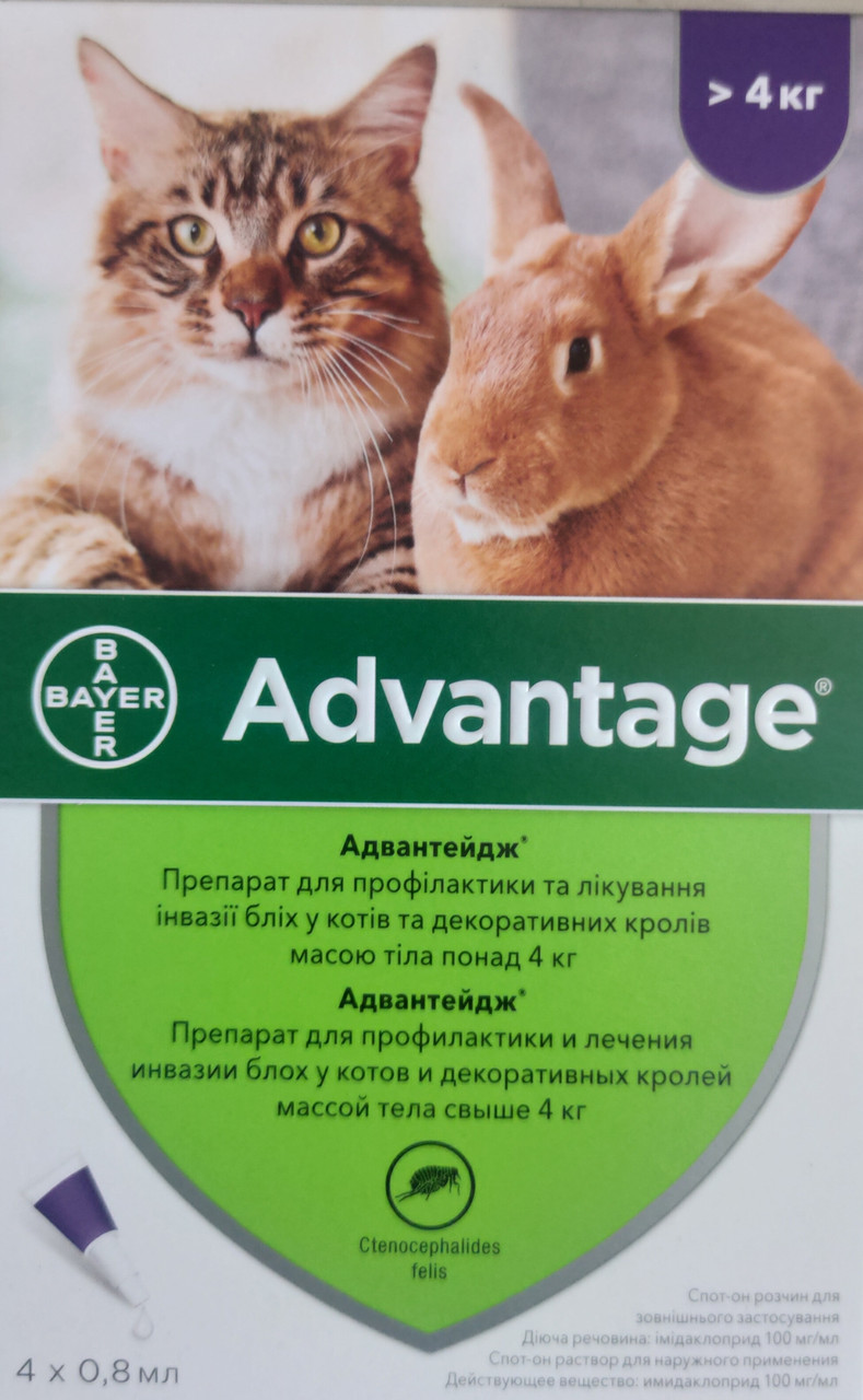 Краплі Адвантейдж 80 для котів от 4 кг, 1 пипетка