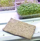 Килимки для вирощування мікрозелені лляні мікрогрін в стрічці ш. 14 см, фото 5