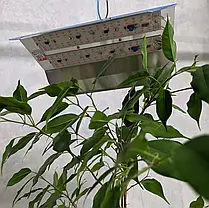 LED світильник для рослин LT 60W повного спектру phyto-insert-60w, фото 2
