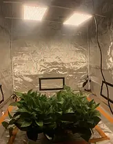 Фітопанель для рослин QUANTUM BOARD(V2.0) 300W QB300W(V2), фото 3
