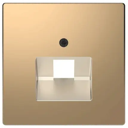 Центральна панель D-Life для 1-ї RJ45 «Шампань» MTN4521-6051, фото 1