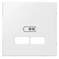 Накладка для механізму USB 2,1 Merten System M MTN4367-0319, полярно білий