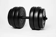 Гантель 25кг, фото 2