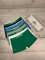 Набір спідня білизна Lacoste, труси боксери 5 шт у подарунковій упаковці, чоловічі труси різні кольори