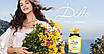 Парфумована вода DOLCE & GABBANA Dolce Shine 2020 75 мл ТЕСТЕР, фото 4