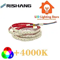 Светодиодная лента RGB+4000K RISHANG, smd5050, 24V, 84 led/m, 21W, IP54, RD6284AC-A (17446)