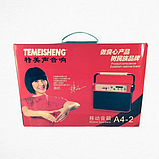 Bluetooth-колонка Temeisheng A4-2 з мікрофоном ⁇ Портативна колонка на акумуляторі ⁇ Бездротова колонка, фото 6