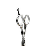 Ножиці перукарські прямі 5.5 SPL 90010-55, фото 4