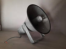 Рупор L-Frank Audio HN12-2, алюміній (рупор)