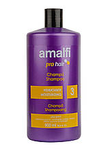 Шампунь зволожуючий для сухого волосся Amalfi Hidratante 900 мл