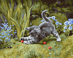 Картина по номерах Грайливе кошеня Юлия Томеско Идейка 40 х 50 KHO4251