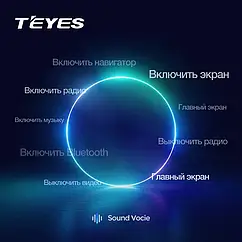 Teyes Voice (голосовий помічний Teyes)
