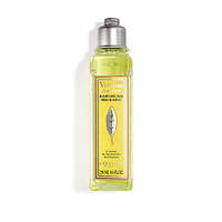 Шампунь для волос Цитрус-Вербена L'Occitane, 250 ml