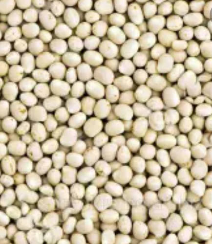 Люпин узколистный 1 кг (ID#1672423690), цена: 50 ₴, купить на Prom.ua