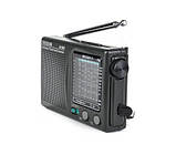 Радіоприймач Радіо Tecsun R909, фото 3