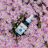 Neurogan CBD Oil 2000MG 30 мл. BX027, фото 4