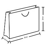 Подарунковий пакет 23*35*13,5 см, фото 2