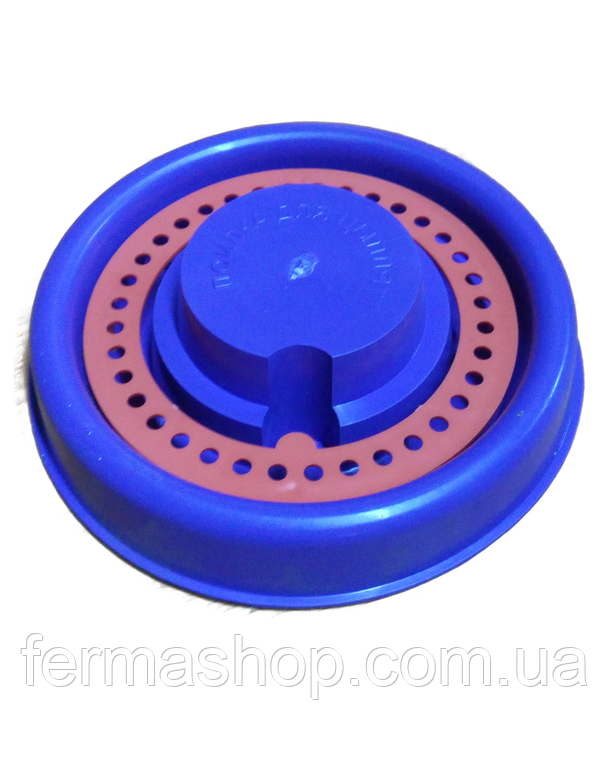 Поїлка під банку з вкладенням для птахів та бджіл, фото 1