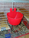 Поїлка-годівниця навісна для кролів, домашньої птиці, голубів та ін, фото 9