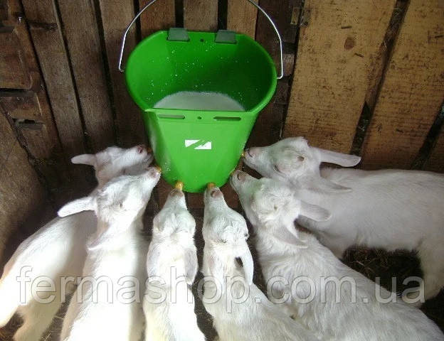 Відро-поїлка для ягнят, козенят, поросят на 6 сосок, фото 1